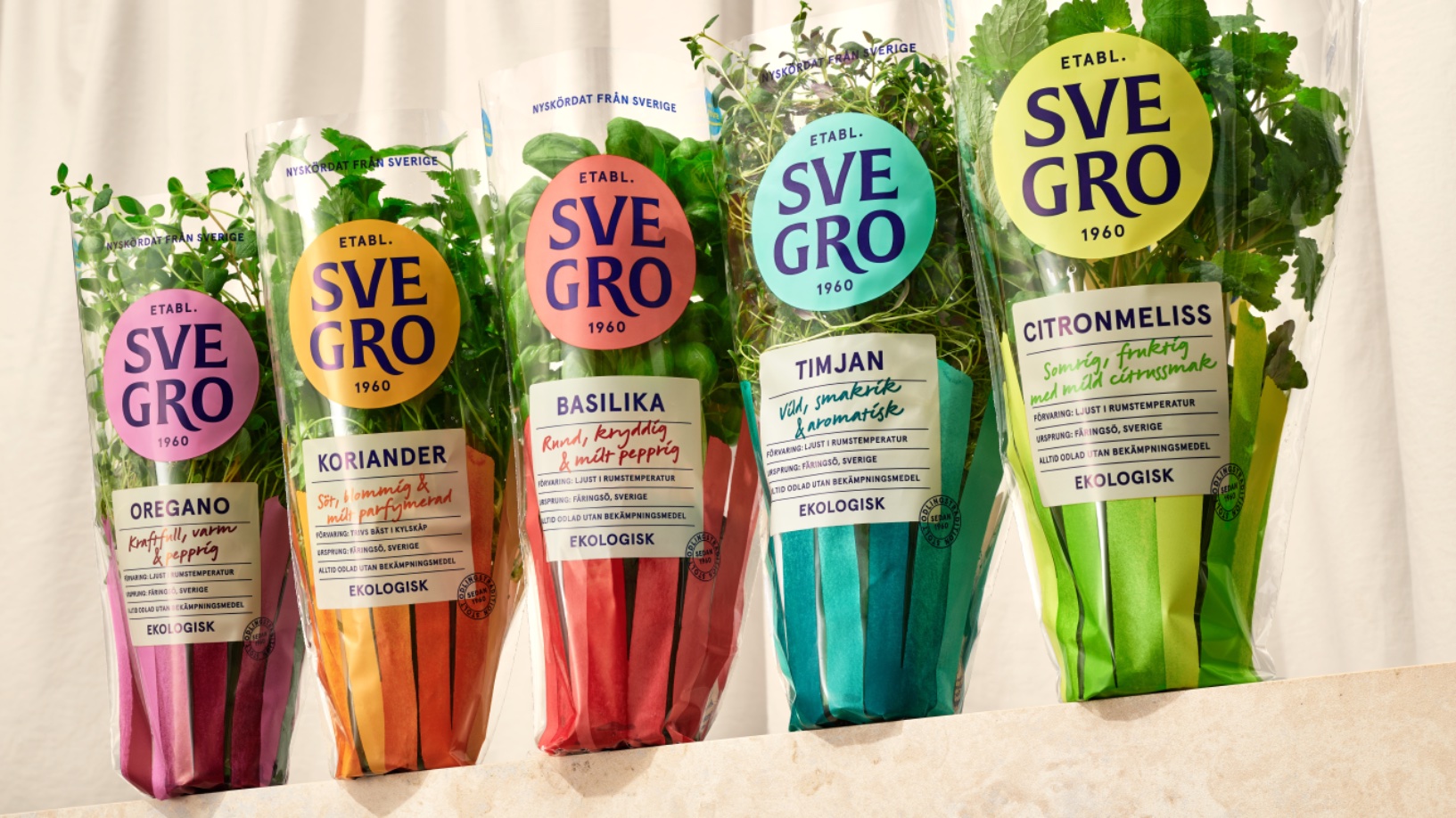 Svegro Inspires New Culinary Occasions