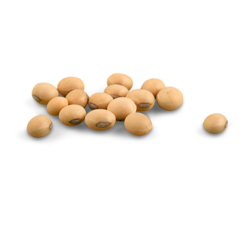 pile of soya beans sitting on white background