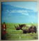 Adrian Belew - Lone Rhino - 1982 Island Records IL 9751 2
