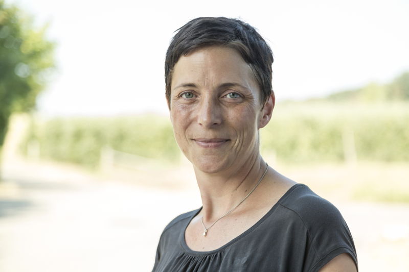 Ausbildung zum/r Pflegefachmann/-frau