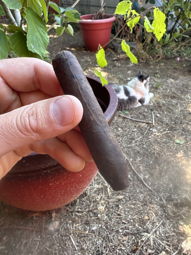 Cigar Session Photo
