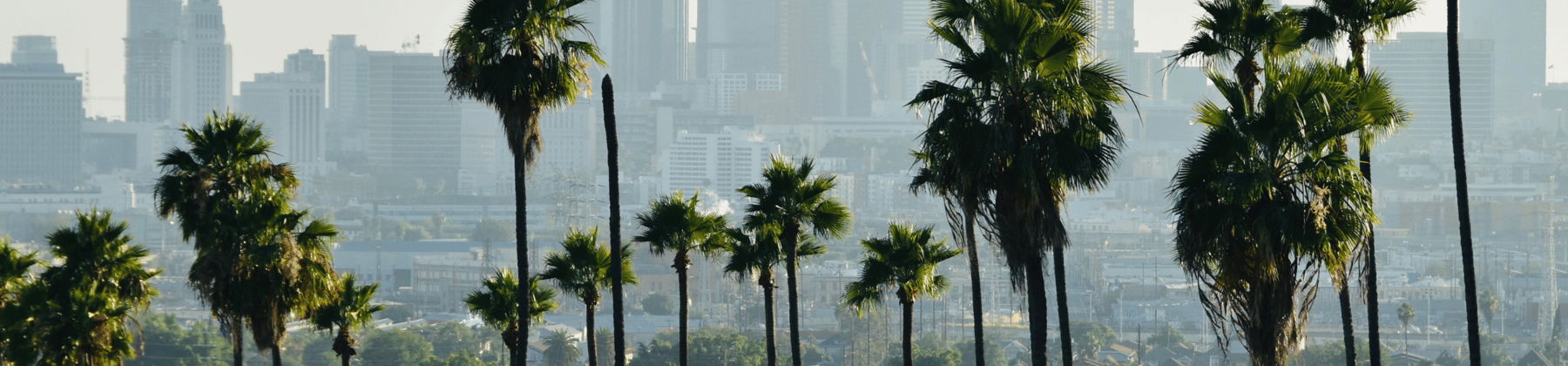 California skyline