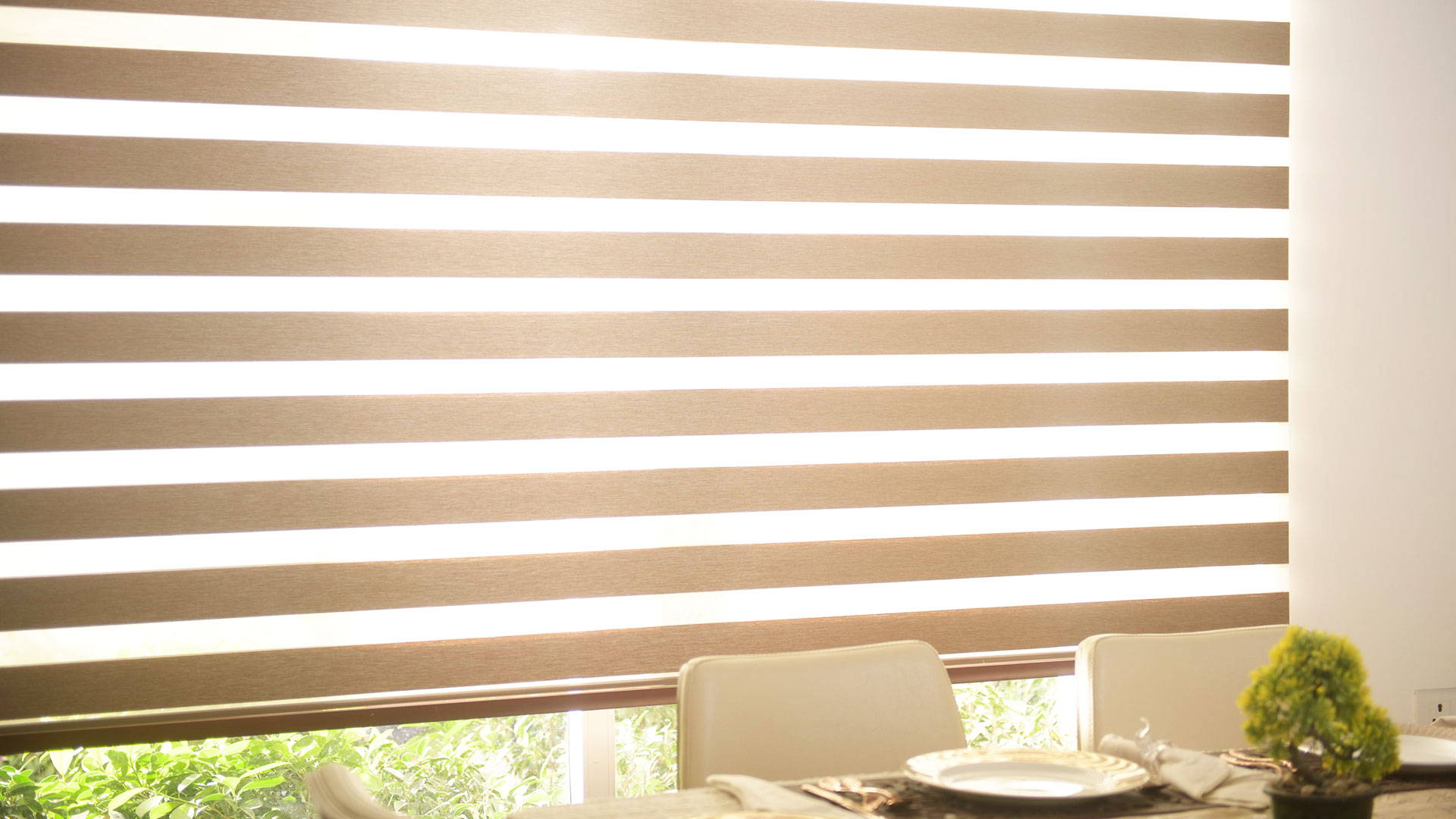 Blockout Zebra Blinds Australia