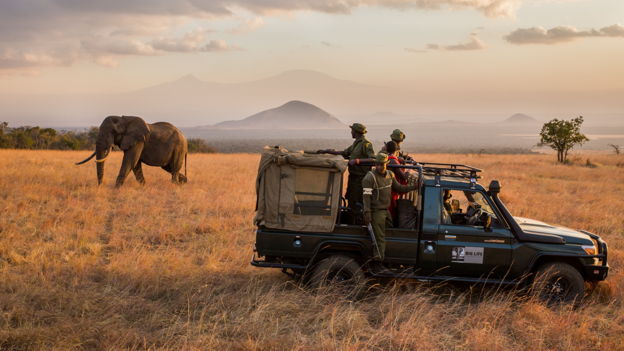 Give a monthly gift and protect wildlife 24/7