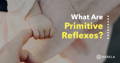 What are Primitive Reflexes