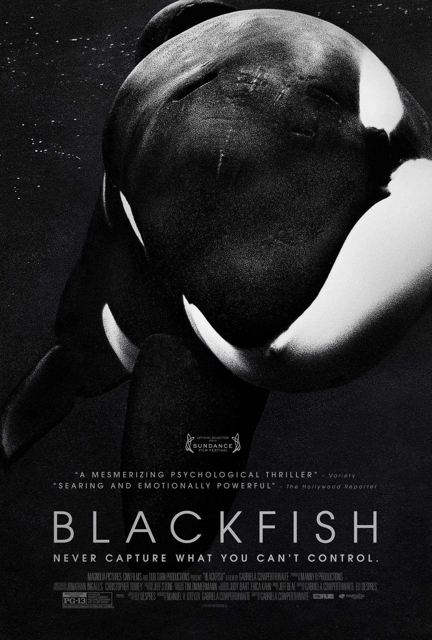 Poster pf 'Blackfish', story of a whale who killed people while in captivity.