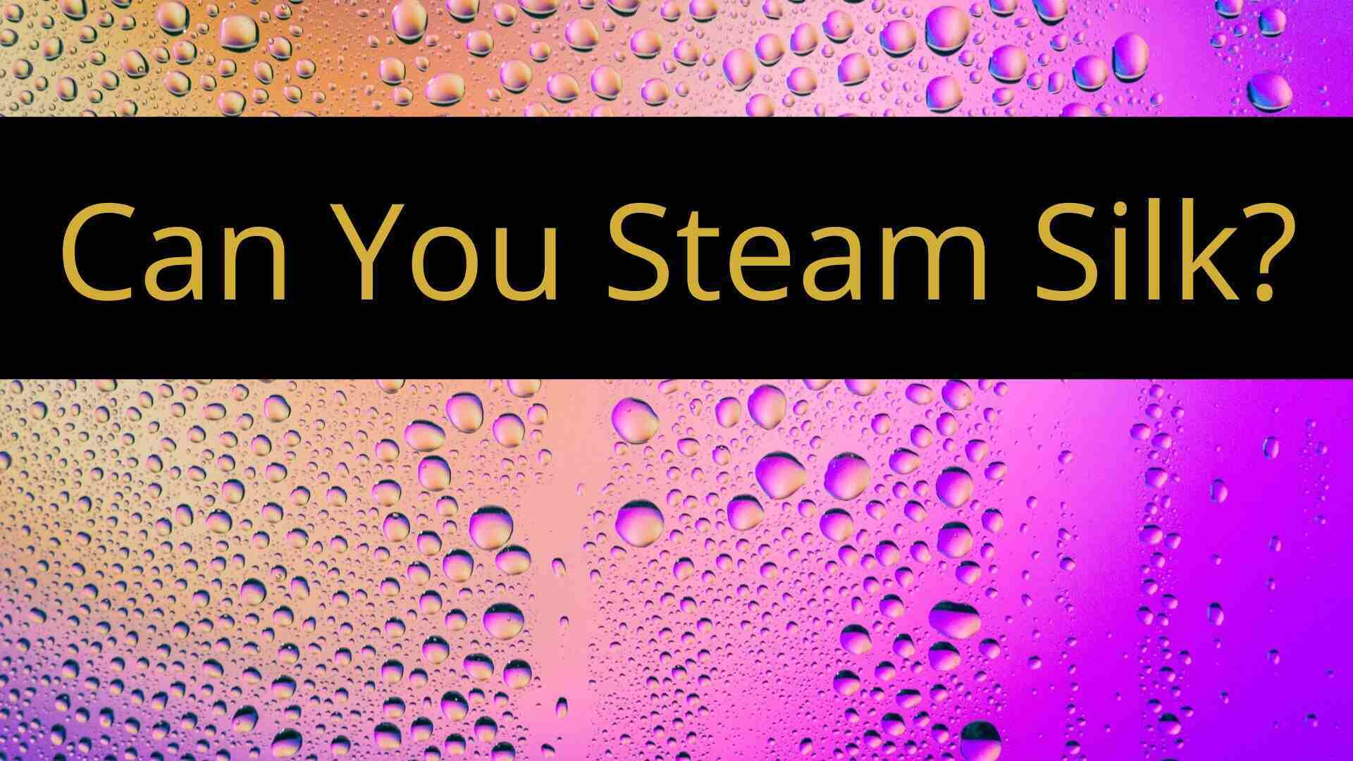 can you steam silk header image