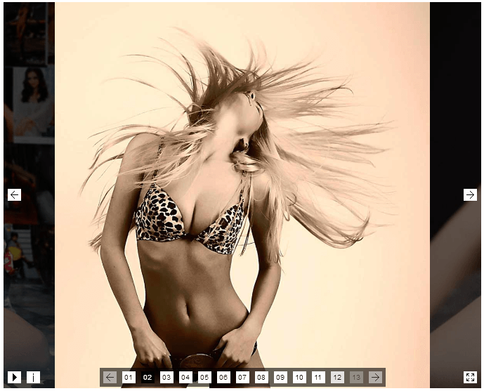 WMT Flow Slider - красивый слайдер с множеством опций