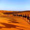 TravelMarrocos Hamid