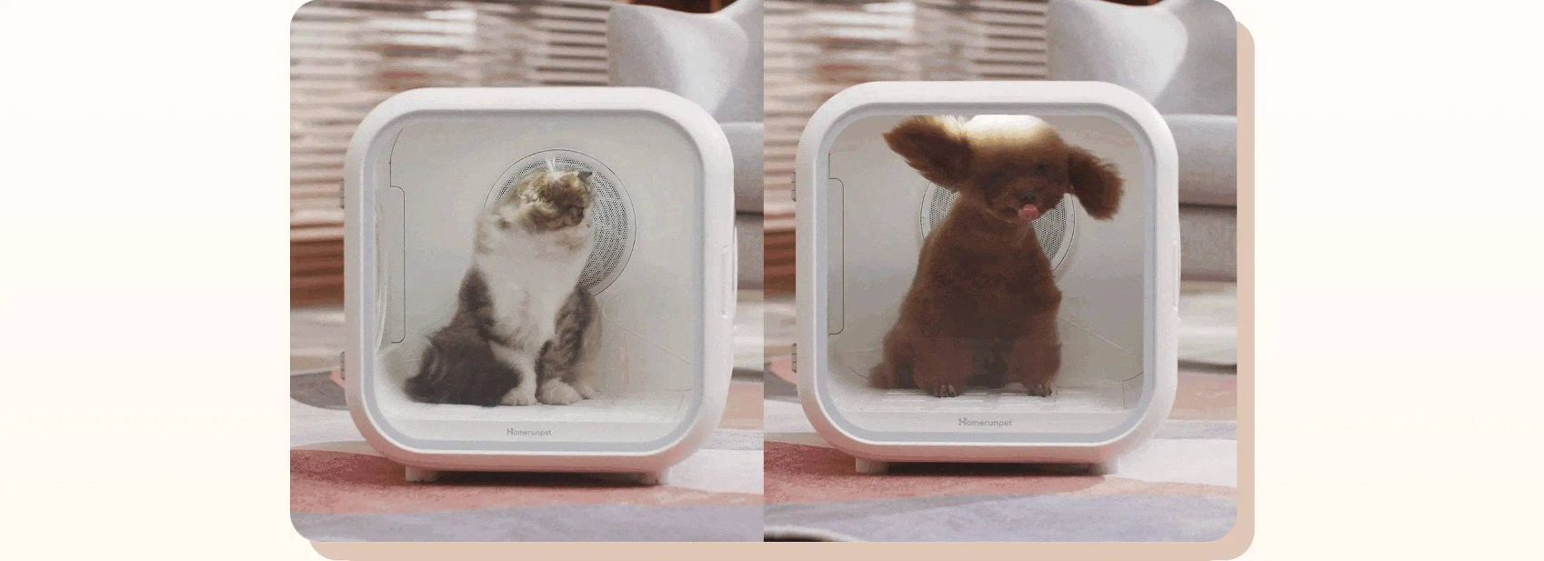 犬も猫も快適