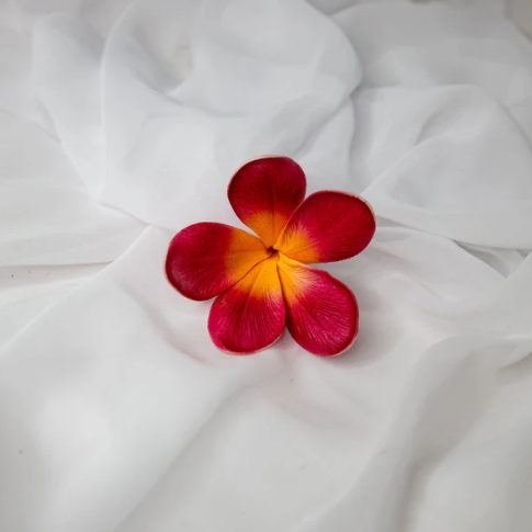 Passion Frangipani Flowerhead (6 Pack) - Realistic Artificial Flowers - Image 3