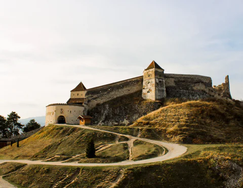 Bran (Dracula) Castle, Bear Sanctuary, Rasnov Fortress & Palinca Distillery