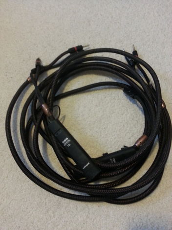 AudioQuest GO-4 10 ft pair Speaker Cables