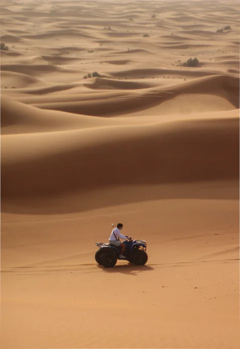 Red Dune Desert Safari, Camel Ride & Quad bike(Optional)