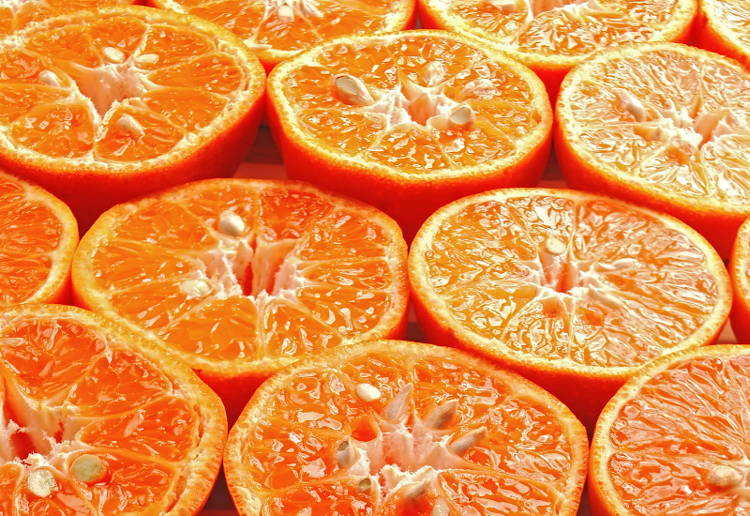 みかん 収穫 時期