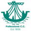 Folkestone Cricket Club logo
