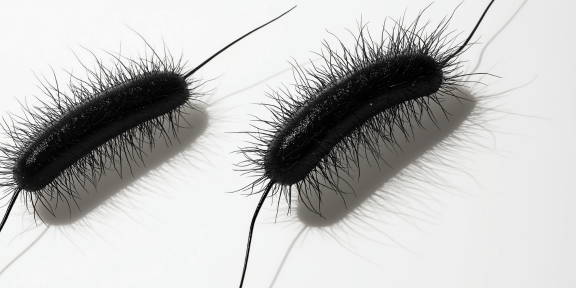 rows of eyelash extensions