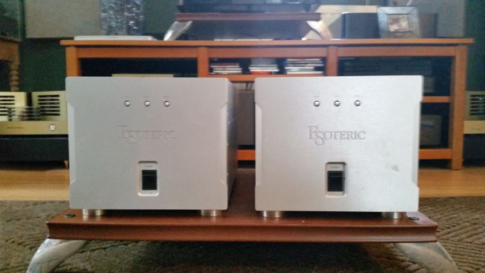 Esoteric A 80 Silver Monoblocks --Reduced Price