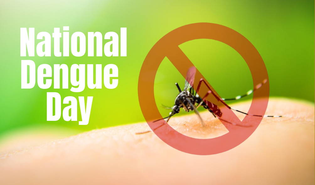 National Dengue Day