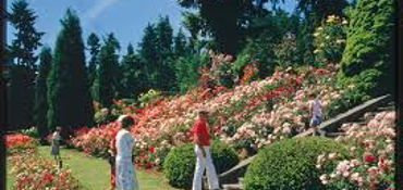 International Rose Test Garden via scenic Skyline road near Portland, OR
