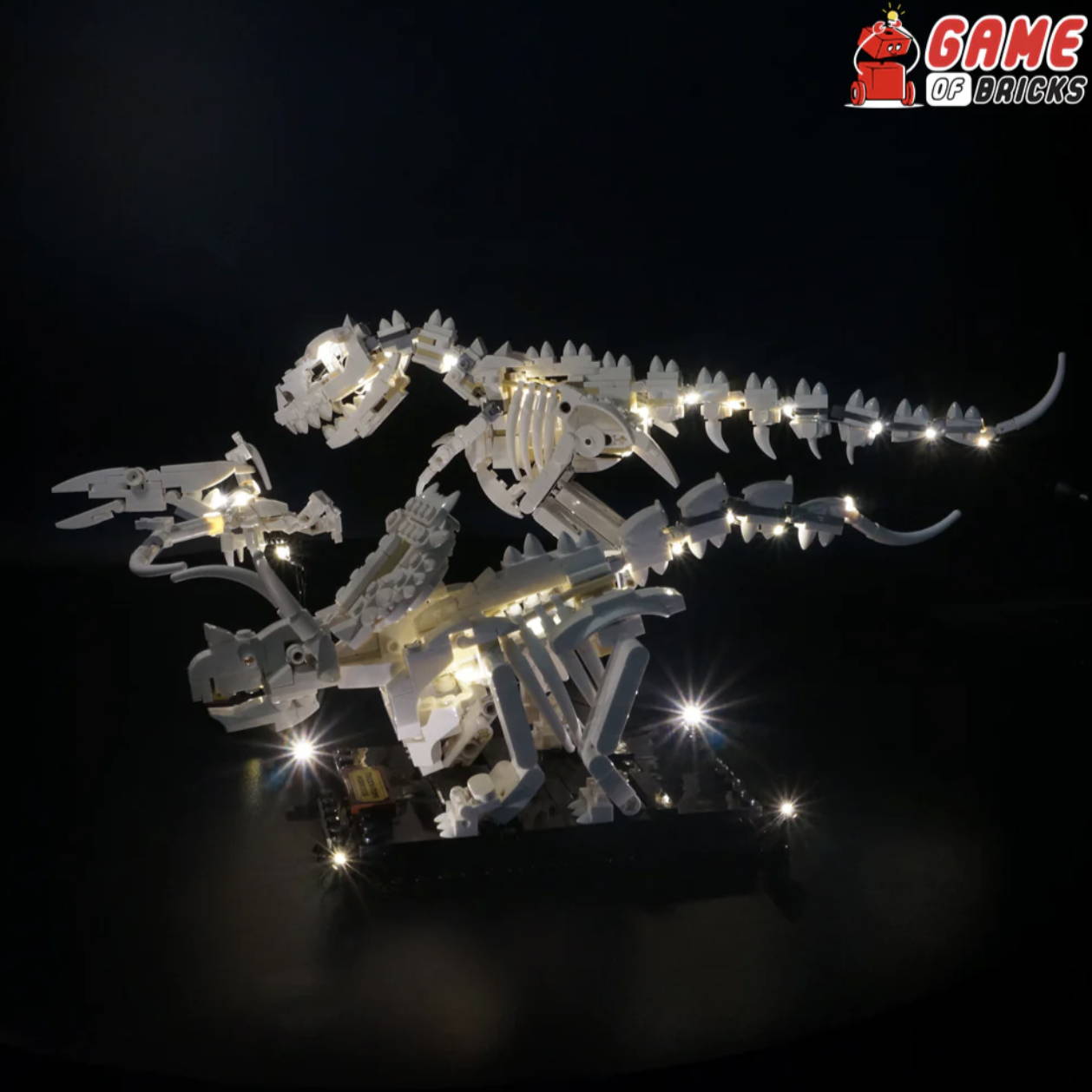 Light Kit for Dinosaur Fossils 21320