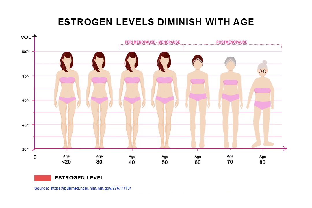 Estrogen Levels Diminish with Age