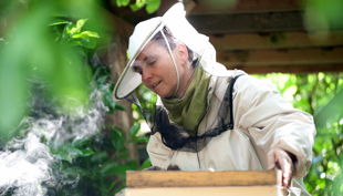 bienen bausmuehle natuerlich lernen solingen