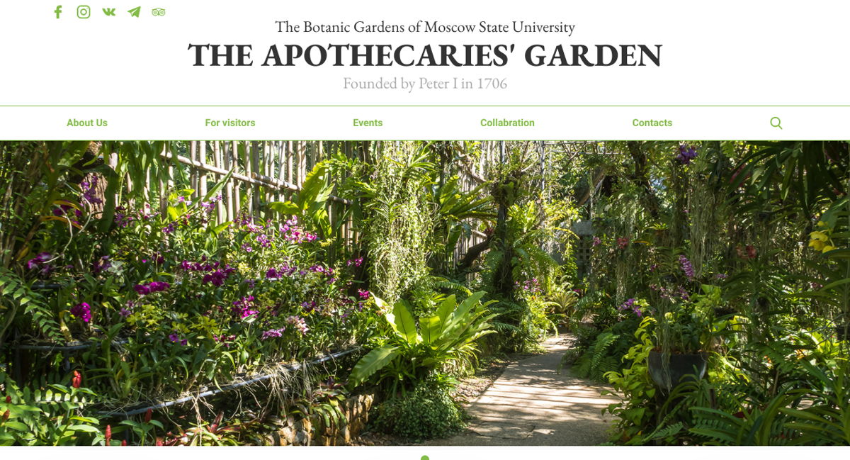 Screenshot of THE APOTHECARIES' GARDEN, from the wix websites collection.