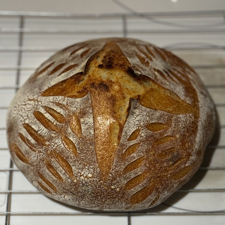 La Fera Micro Bakery 🥖• Nathaniel — photo from hotplate.com