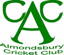 Almondsbury Cricket Club logo