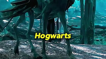 Main Content Image