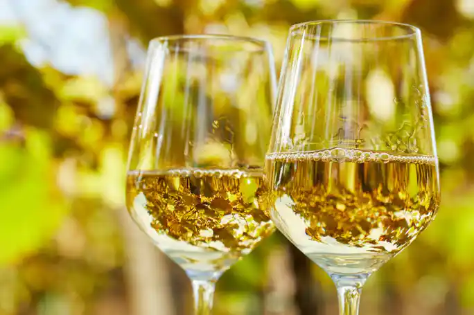 Cruise and Tokaj wine