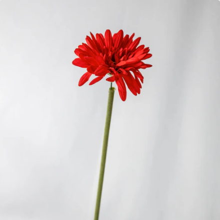 Red Real Touch Gerbera - Realistic Artificial Flowers - Image 2