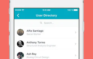 Screenshot image