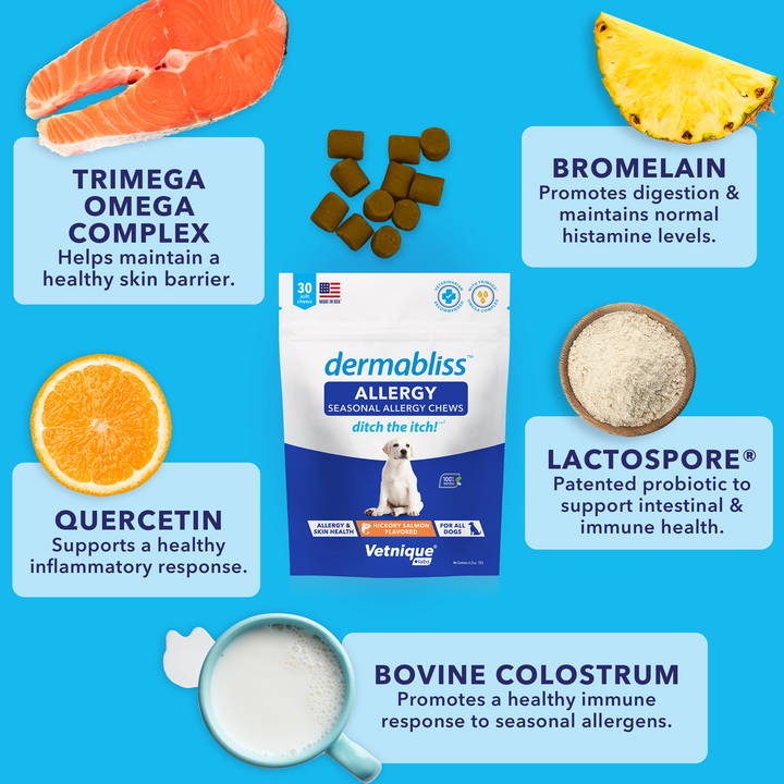all-natural ingredients for seasonal allergy support in pets