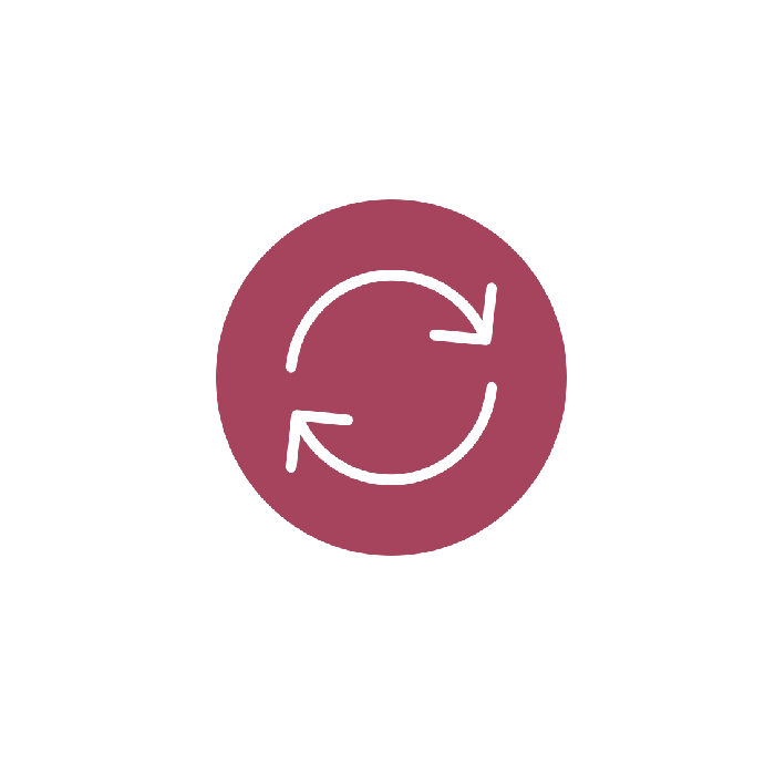 Programme de fidélité inspirés des Miles de Flying Blue