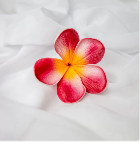 Red Orange Frangipani Flowerhead (6 Pack) - Realistic Artificial Flowers - Image 2