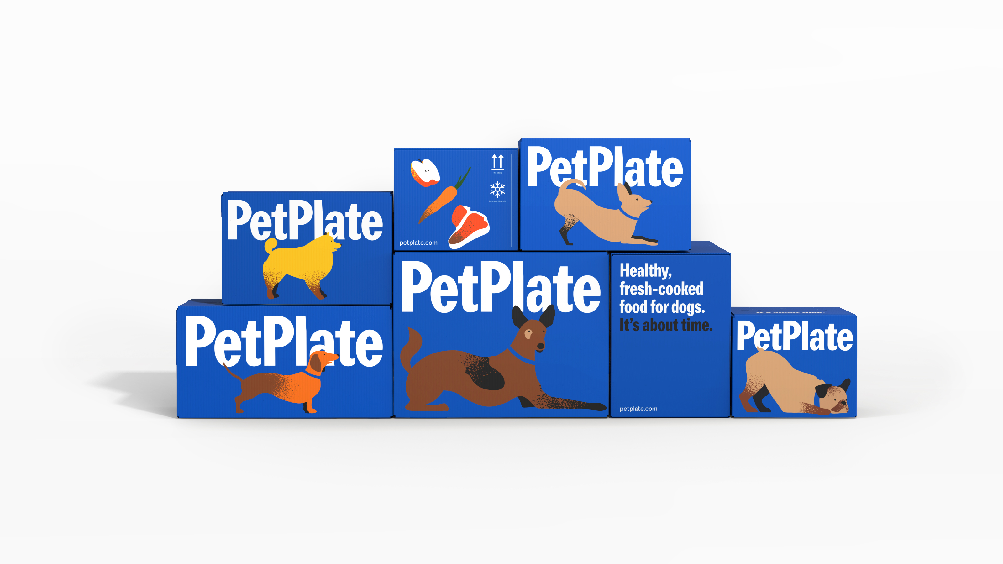 petplate jobs