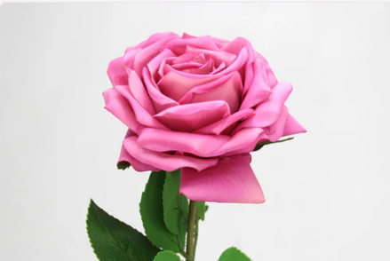 Fuchsia Dream Real Touch Rose - Realistic Artificial Flowers