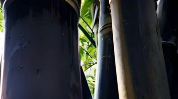 Main Content Image