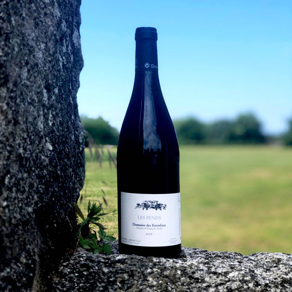 François tardy, anne tardy, domaine des entrefaux, rhône sud, drôme, vin sain, vin bio, vin rouge, vin blanc, raw wine, organic wine, vin naturel, vin sans intrants, vin propre, syrah, grenache, roussanne, marsanne