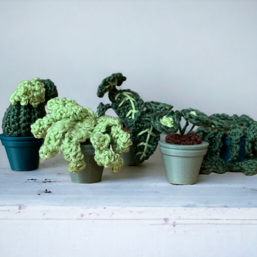 Mini-Großstadtdschungel (CAL)