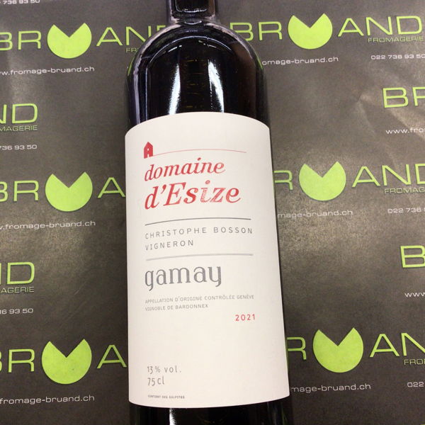 gamay-domaine-desize