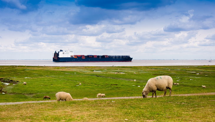 hafenrallye cuxhaven