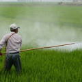 Herbicide pesticides