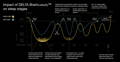 Graphic showing the impact of DELTA BrainLuxury on sleep stages