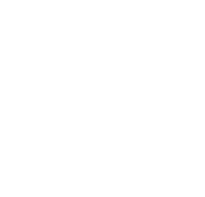 XL-gruppen logo