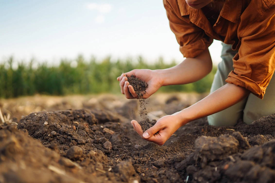 A person wearing an orange shirt kneels in a field while sifting dark, rich soil between their hands.