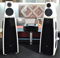 Meridian DSP8000 Speakers  with 808 V5 CD Player 3