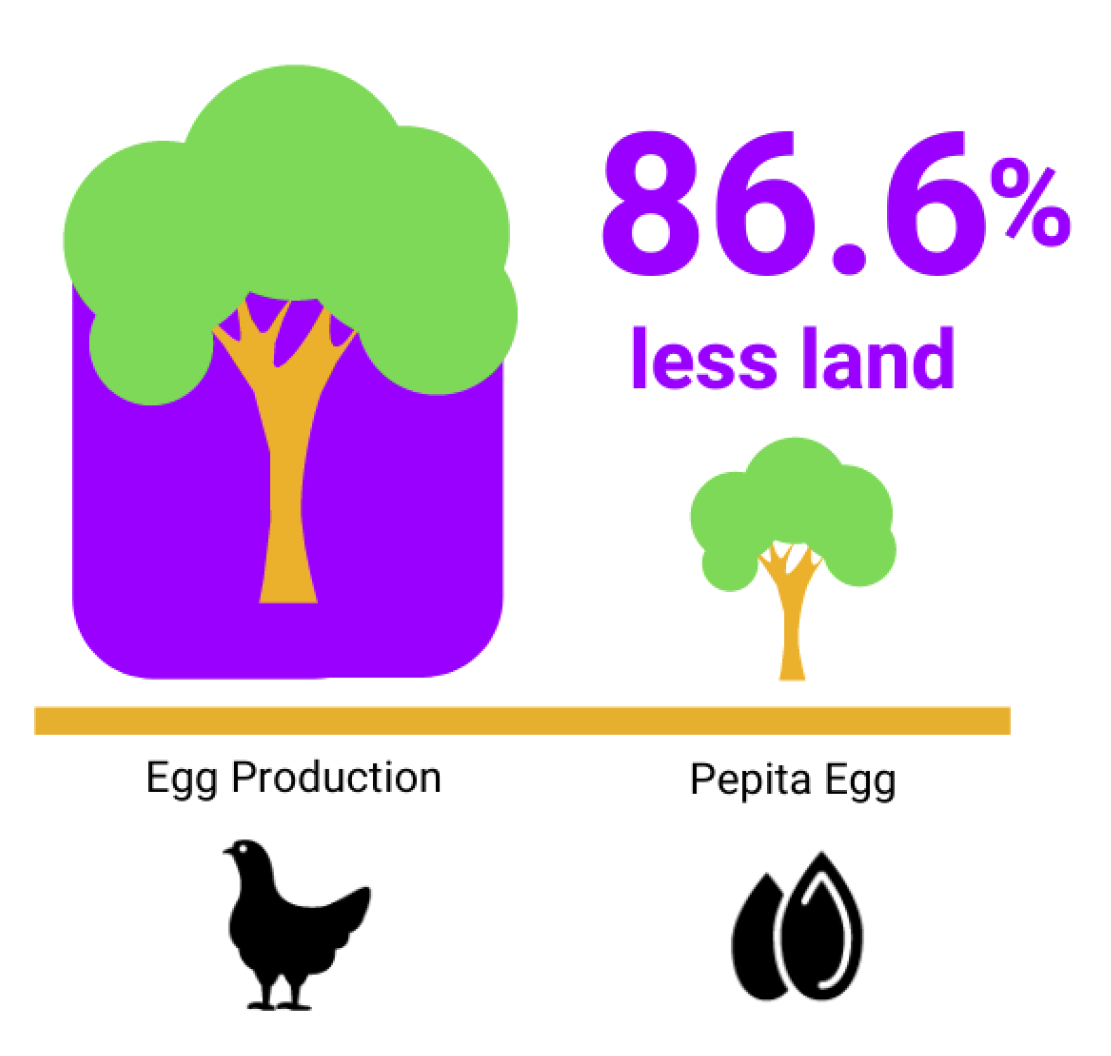Spero Pepita egg is good earth. 86.6% less land than conventional egg production. Sustainability
